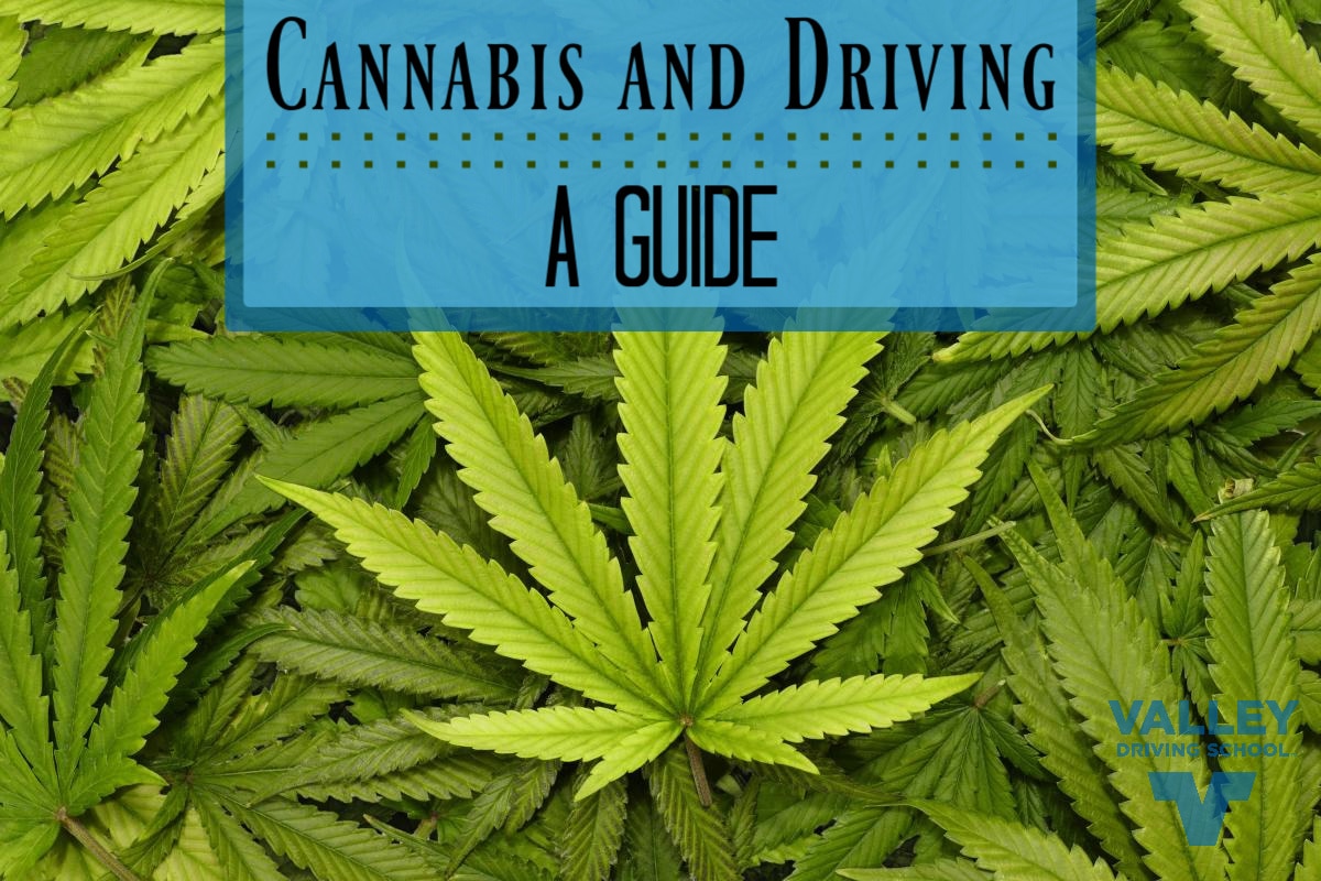 Blog Cannabis and Driving header