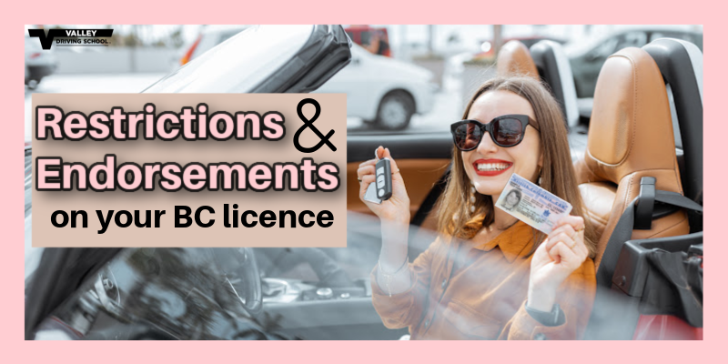 Blog Restrictions and Endorsements
