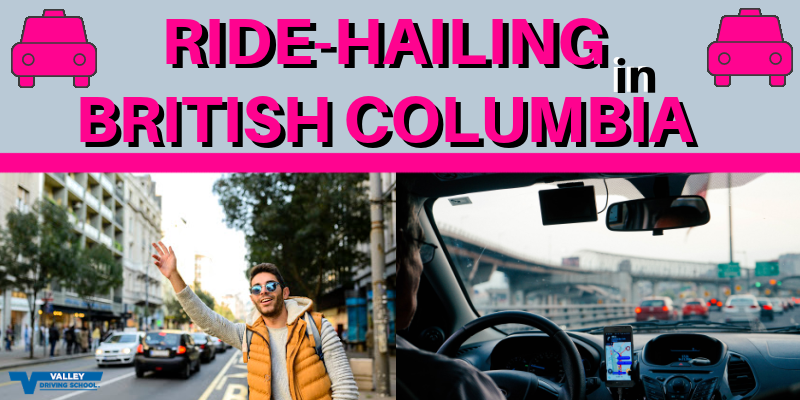 Blog Ride Hailing in BC pink