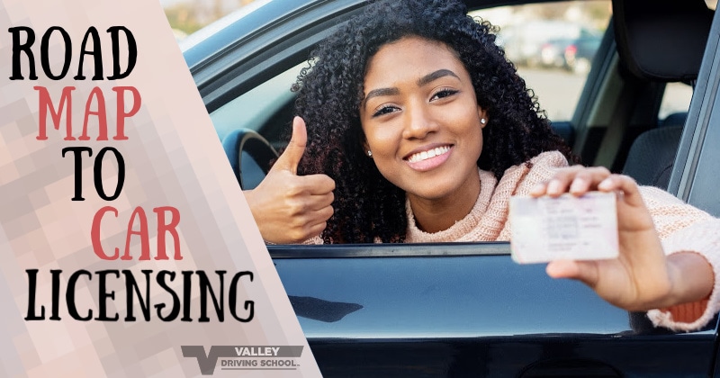 Blog RoadMapToCarLicensing