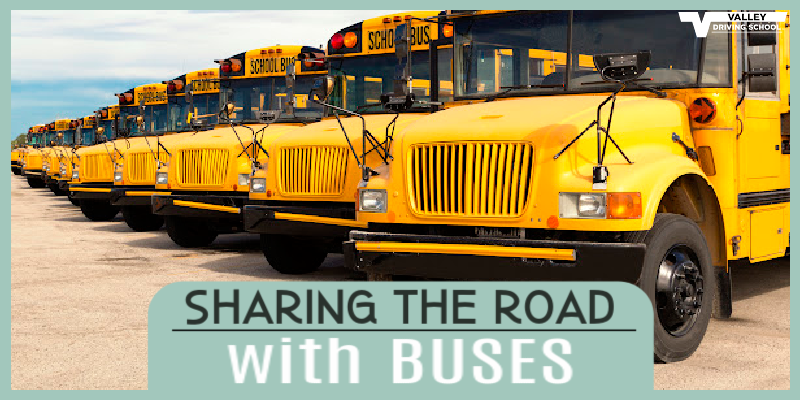 Blog Sharing the Road with Buses