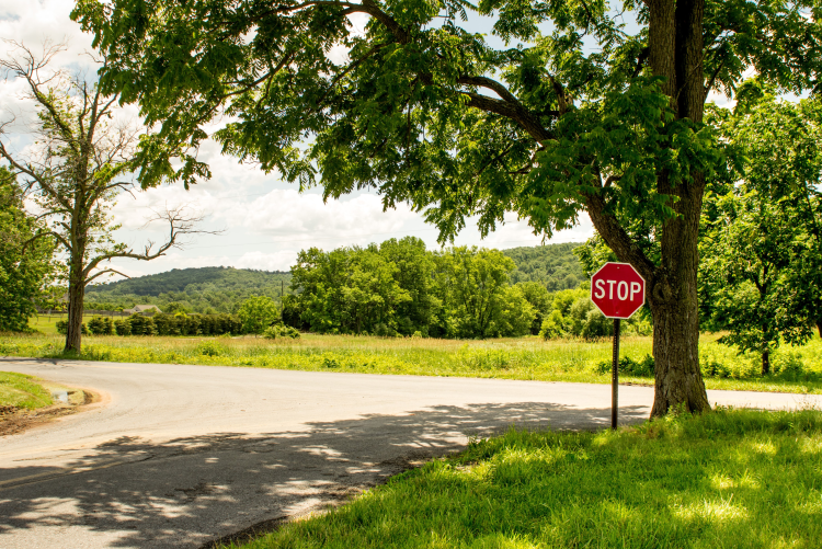 A red stop sign stands at the corner of a quiet country road intersection, framed by a large shade tree with a view of green fields and rolling hills in the background.