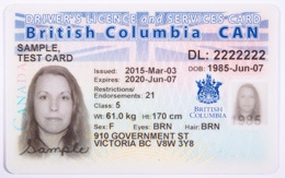 ICBC drivers licence