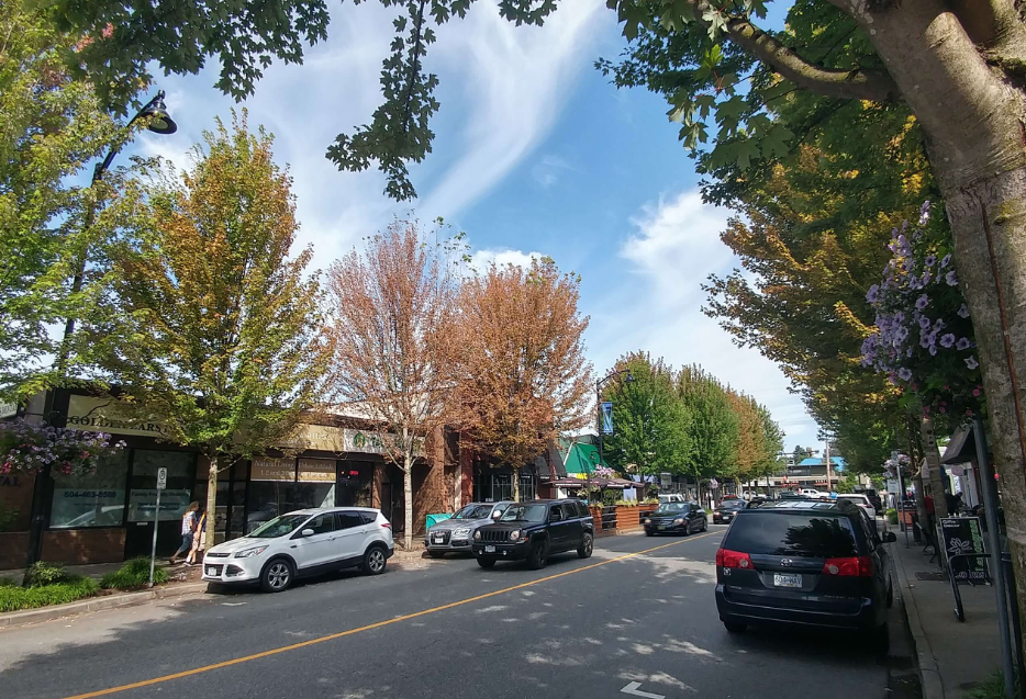 Maple Ridge downtown street with a car driving down the road.  There is cars parked along both sides of the road, in front of businesses.