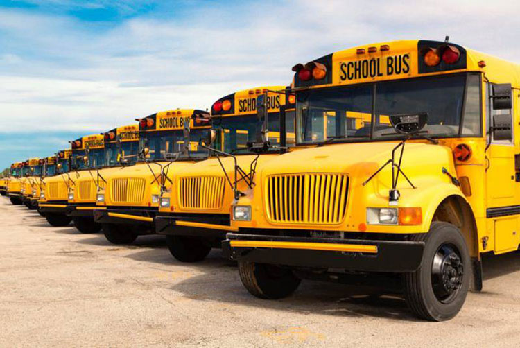 many yellow school buses parked in a row.